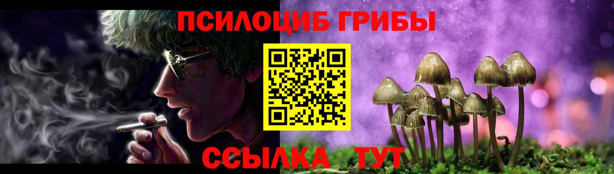 Псилоцибиновые грибы Cubensis Североморск